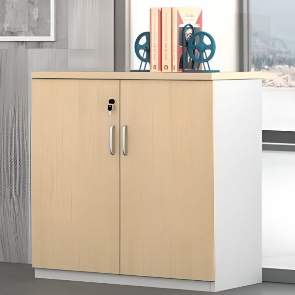 12-lockers filing office cabinet, 2m executive office desk, catalina conference seat, Executive Office Seat, mahogany coat hanger, orthopedic office seat