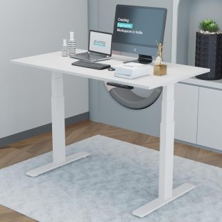 1.2m executive office desk, 2-door filing cabinet, 2.4m boardroom table, 80Kg fireproof safe, catalina office Chair, Clerical OfficeChair, Executive Office Chair, mesh visitors chair