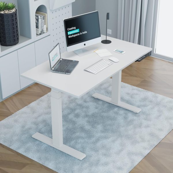 1.2m executive office desk, 2-door filing cabinet, 2.4m boardroom table, 80Kg fireproof safe, catalina office Chair, Clerical OfficeChair, Executive Office Chair, mesh visitors chair