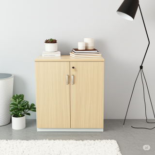 2-Door Wooden Office Cupboard