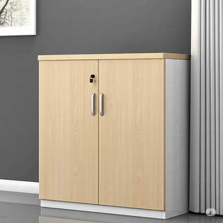 2 Door Office  Wooden Credenza