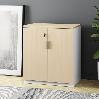 2-Door Modern Wooden Office Cupboard