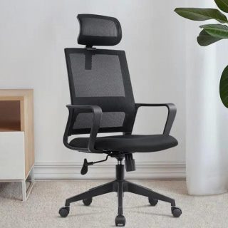 ErgoMesh  High Back Office Chair.