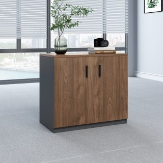 2-Door Wooden Office Credenza