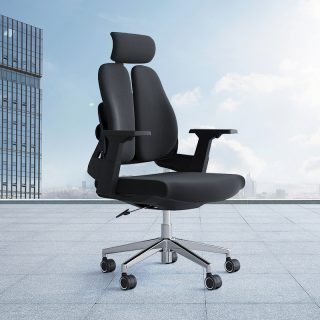 High Back Dual Orthopedic Office Chair