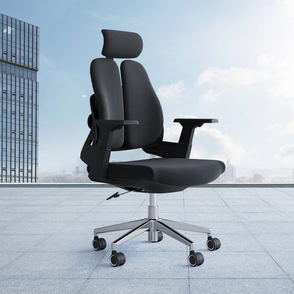 High Back Dual Orthopedic Office Chair