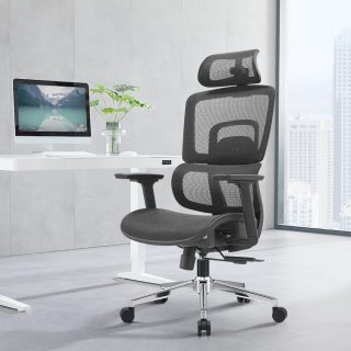 High Back Orthopedic Office Chair