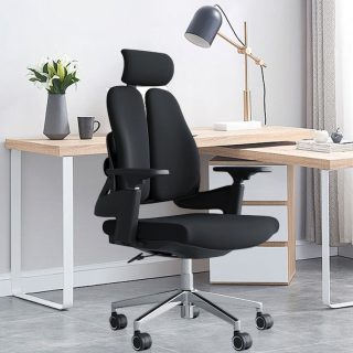 High Back Dual Orthopedic Office Chair