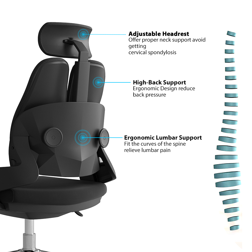 High Back Dual Orthopedic Office Chair - Image 3