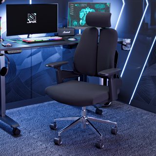 High Back Dual Orthopedic Office Chair