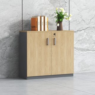 2 Door Credenza Filing Cabinet Kenya | Office Storage Nairobi