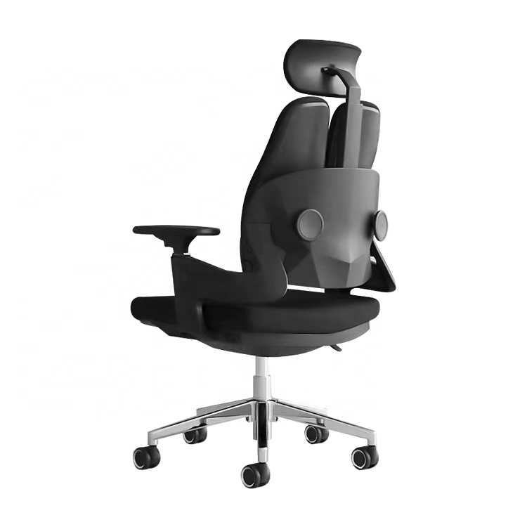 Dual orthopedic office seat with ergonomic back support for comfortable long-hour office use in Nairobi, Kenya.