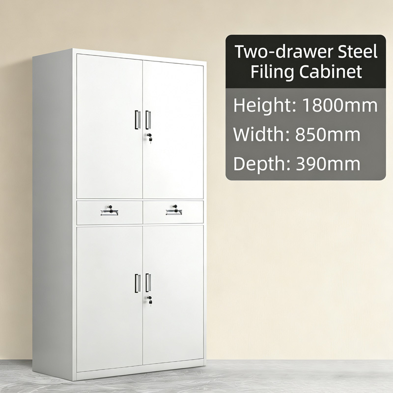 2-Door Metallic Office Filing Cabinet in Nairobi Kenya